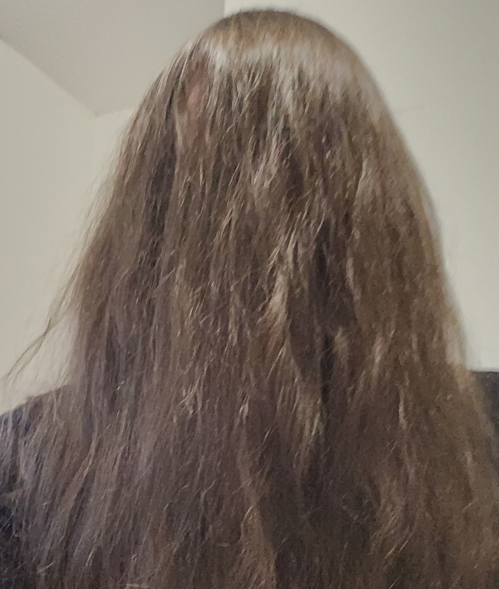 Picture of me, with hair covering entire face/head.